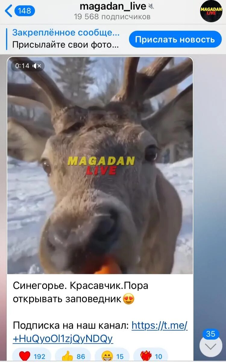 Магадан значит домой. Магадан значит домой. Магадан 2014. Современный магадан. Магадан столица колымы.