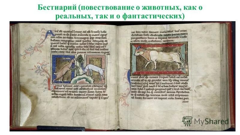 средневековый бестиарий презентация. рецепты бестиария. готический бестиарий. бестиарий энн уолш. рецепты бестиария.