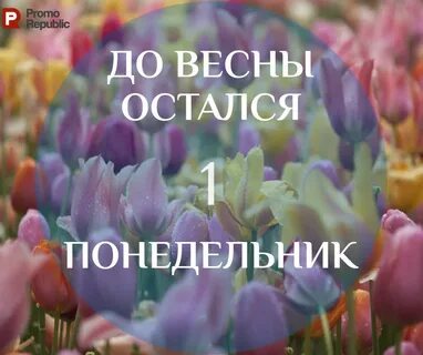 Последний понедельник живешь