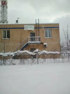 Ветеринарные реутов