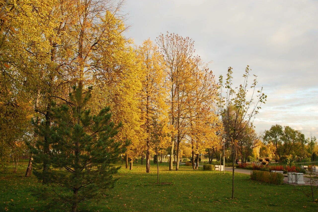 Золотая осень ярославль. Фотографии осенью. Золотая осень новосибирск. Симферополь осень. Пансионат для пожилых людей исток ставрополь.