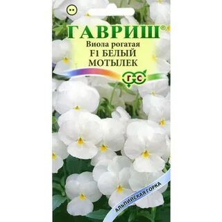 Виола белей