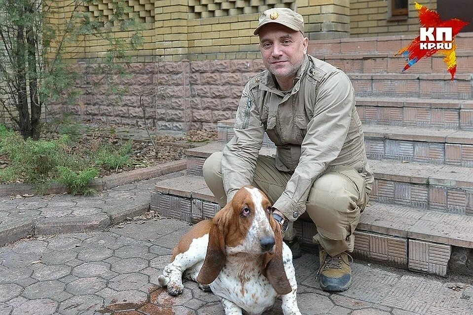 Прилепин собаки. Прилепин собаки купить