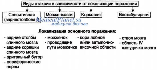 Виды атаксии. Виды атаксий. атаксия (мозжечковая, лобная, вестибулярная, сенситивная).. сенситивная атаксия. мозжечковая и сенситивная атаксия.