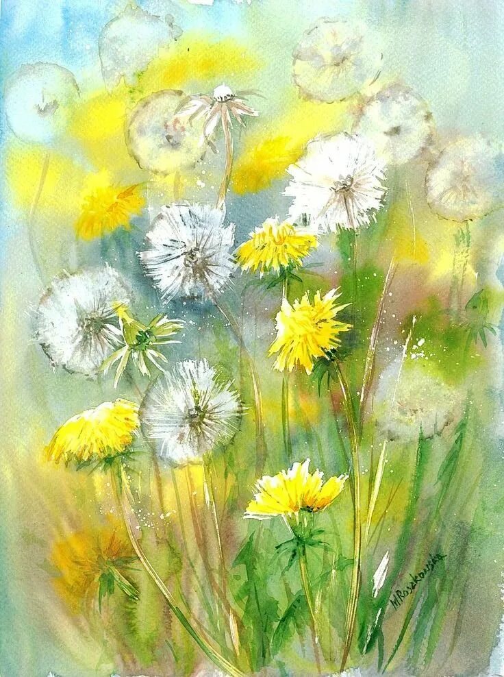 Живопись ларисса гамильтон. Одуванчики акварелью. Цветочная живопись maria roszkowska. Рисование с детьми одуванчики. Правополушарное рисование поле одуванчиков.