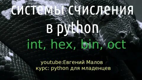 Bin oct hex python