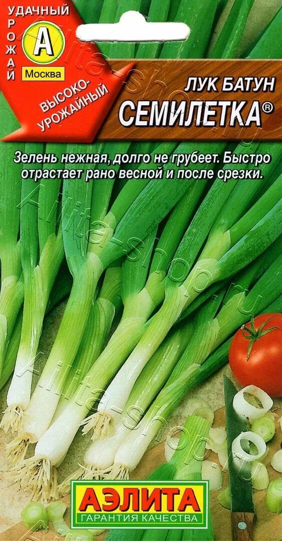 2 2 нежно и долго. Лук батун Семилетка 1г.