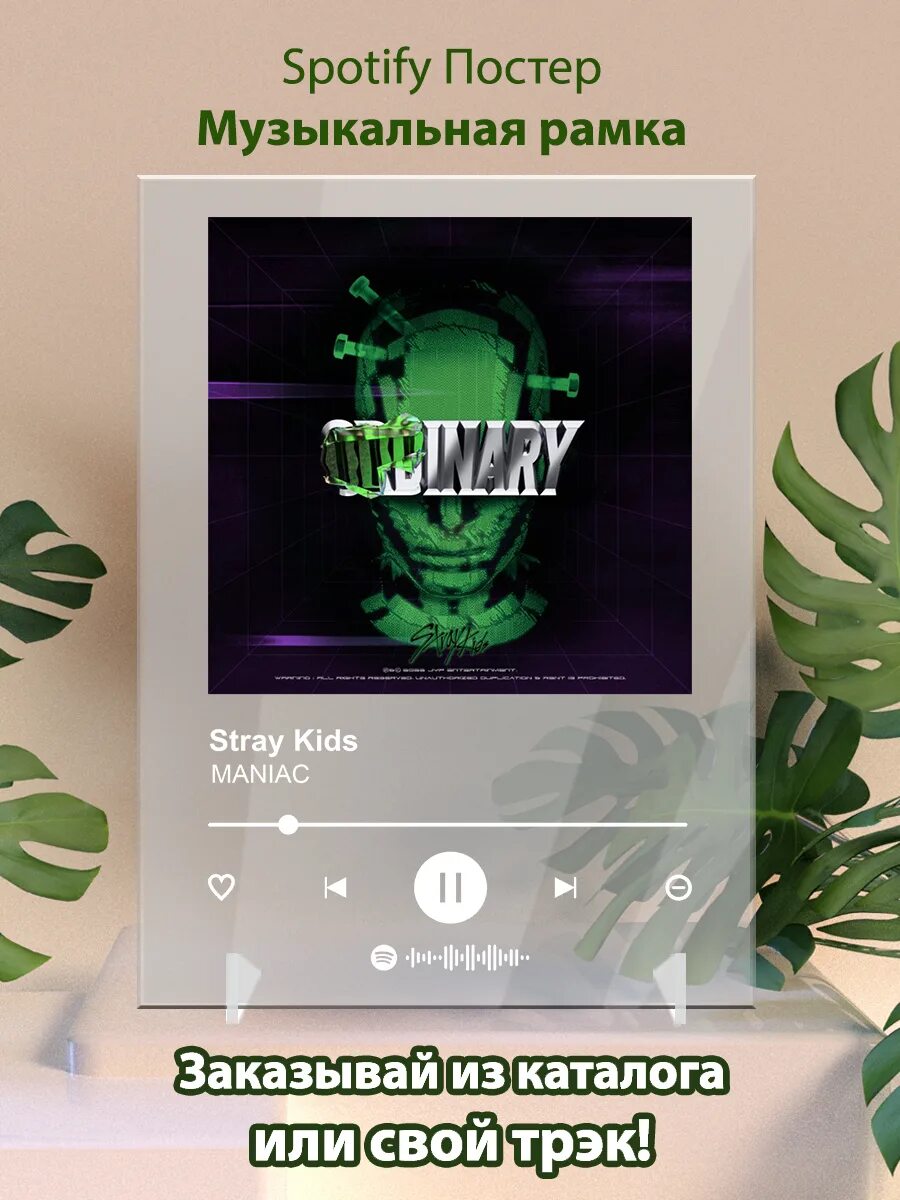 Lonely stray. Spotify рамка. charmer stray kids. muddy water stray kids. the charmers.