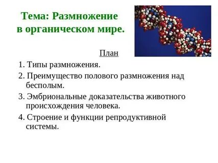 Почему жители не размножаются