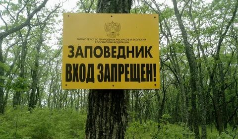 На территории 1 из заповедников