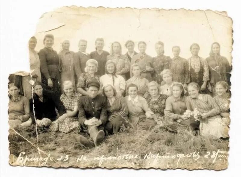 Колхоз имени ленина 1959. Хрущев колхоз в совхоз. Труженики села. Совхоз ссср. Сельскохозяйственная артель (колхоз) им.