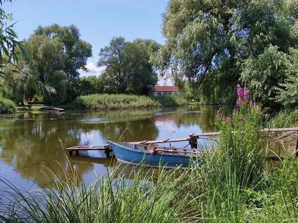 Город устье реки дон. Устье реки Дон. Устье реки Дона. Дон летом. Река Дон фото.