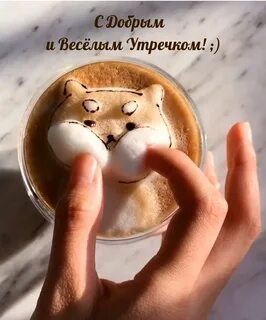 Доброе утро картинки прикольные смешные необычные новые