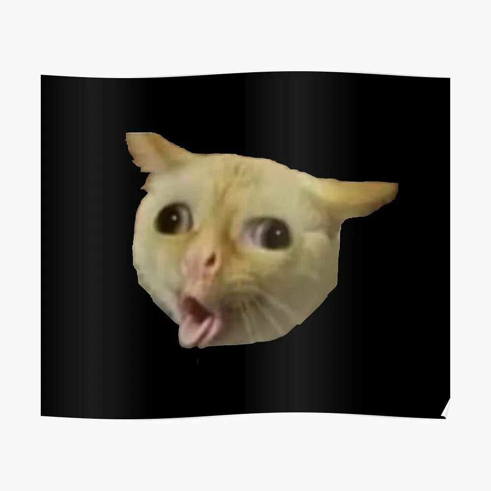 Кашляющий кот мемы. Кот кашлянул мем. Кот кашляет мем. Кот кхе. Кот кашляет мем.