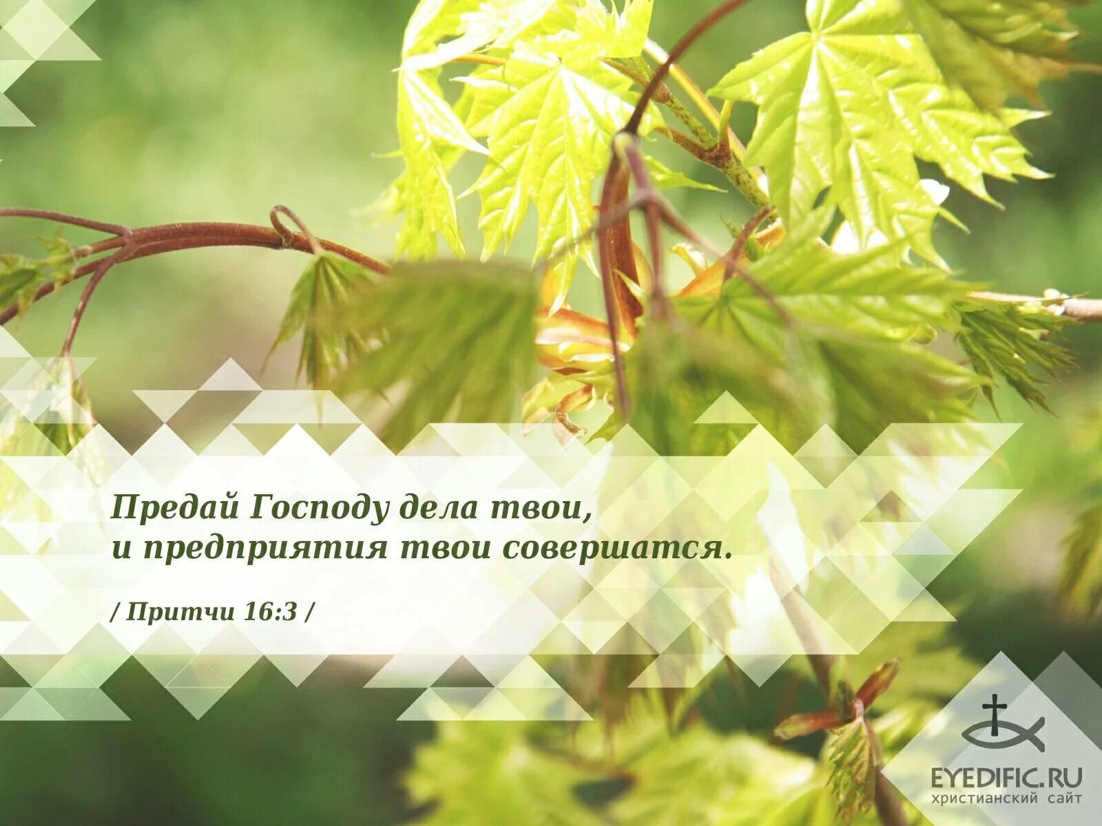 Красивые картинки со стихами из библии. Христианские цитаты из библии. Открытки со стихами из библии. Стихи из библии для ободрения. Золотые стихи из библии.