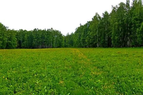 Исток урала