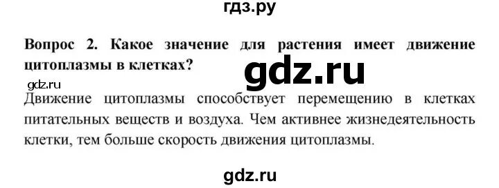 Краткий пересказ биология 6 класс 21 параграф. Деление клетки 5 класс Пасечник. Жизнедеятельность клетки ее деление и рост 5 класс. Биология 5 класс параграф 9 Пасечник.