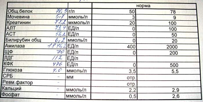 Общий белок. Общий белок 10-12. Общий белок при гриппе. Общий белок 728.