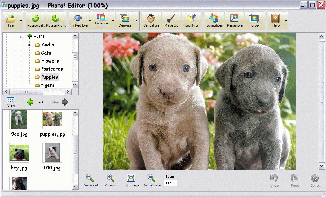 Windows editor download. Photo editor картинки. imagebot графический редактор. windows photo editor. microsoft foto editor.