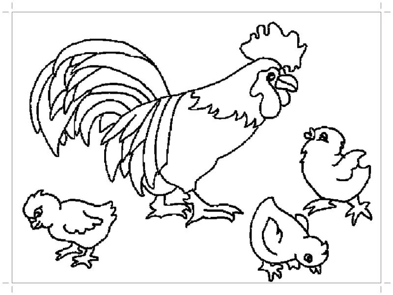 Домашние птицы раскраски для детей распечатать Geese Coloring Pages Best Coloring Pages For Kids Farm animal coloring pages,