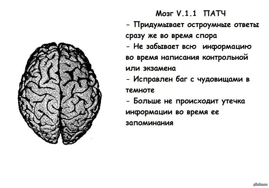 Анекдот про мозг. Шутки про мозг. Мозг шуточная. Инструкция для мозга прикол. Анекдоты про мозг.