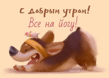 Картинки прикольные с животными доброе утро позитивные