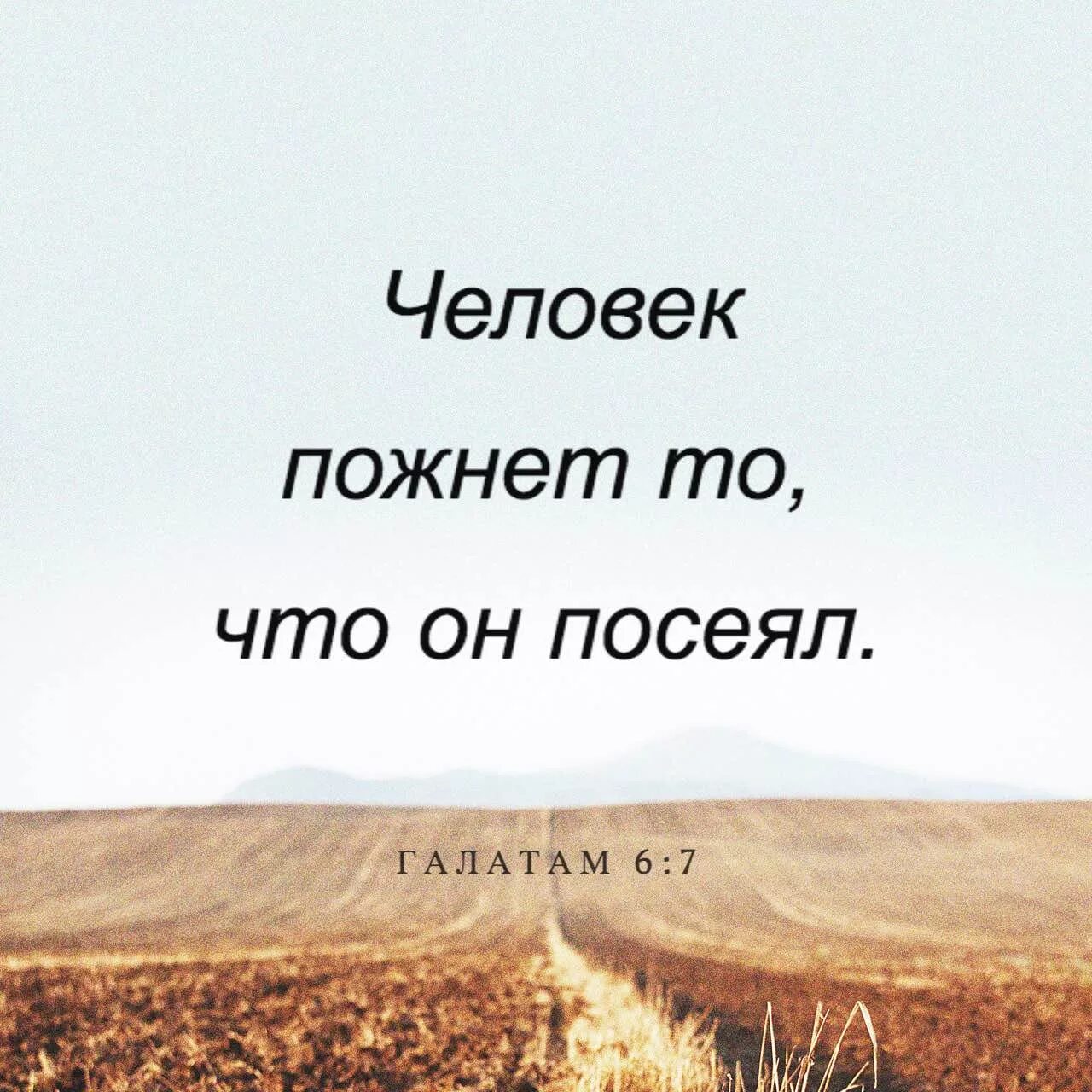 Что посеешь то и пожнешь объяснить смысл. Что посеет человек то и пожнет. что посеешь то и пожнешь библия. что посеет человек то и пожнет библия. бог поругаем не бывает что посеет человек то и пожнет.