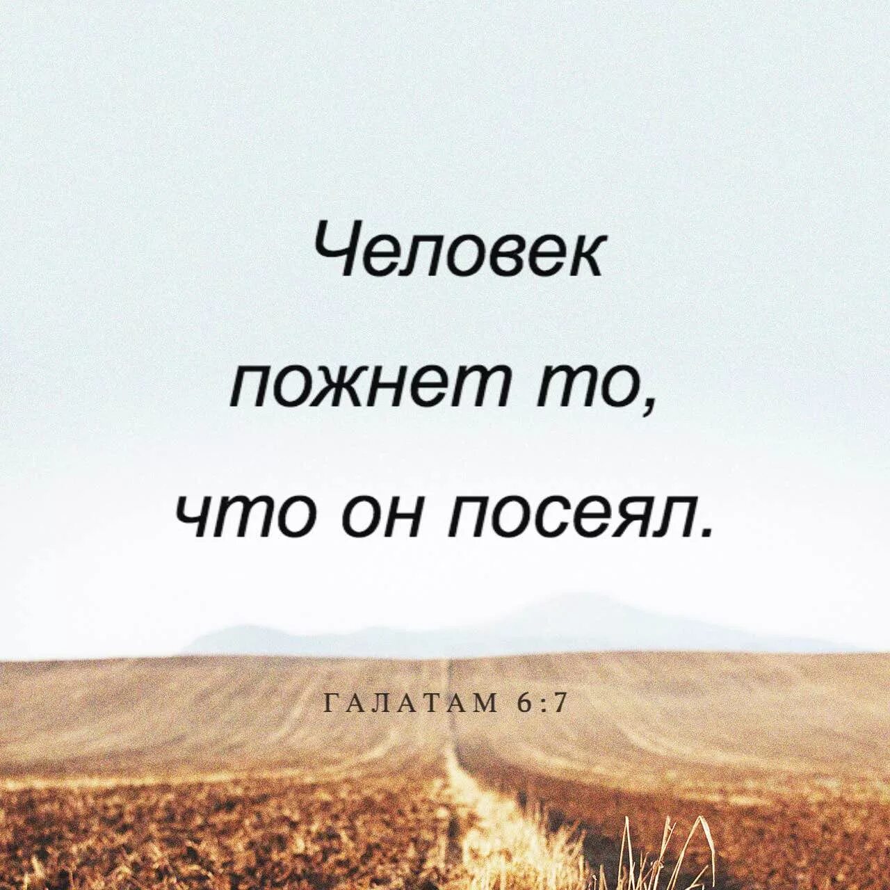 Что посеет человек то и пожнет. Что посеешь то и пожнешь Библия. Что посеет человек то и пожнет Библия. Бог поругаем не бывает что посеет человек то и пожнет. Поговорка что посеешь