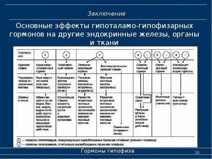 Что такое гормоны в биологии 8 класс
