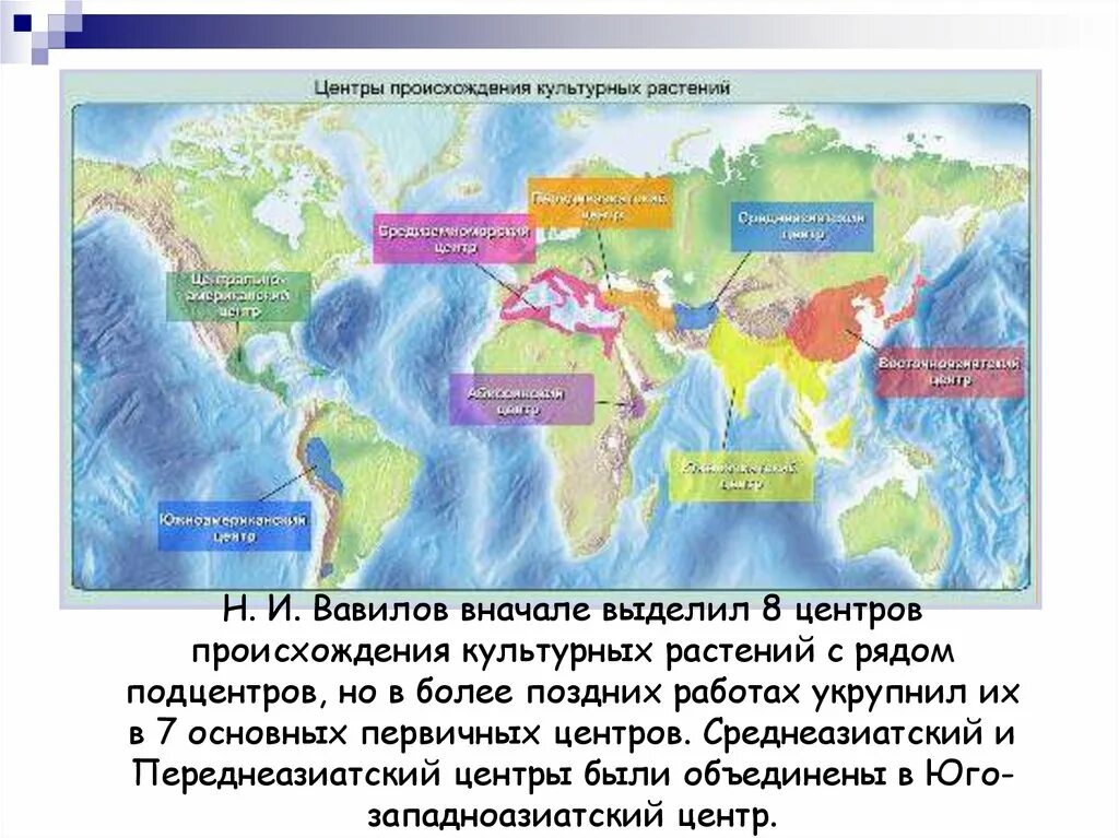 Центры многообразия вавилова. Центры происхождения растений. Центры происхождения культурных растений. Вавилов центры происхождения культурных растений. Переднеазиатский центр происхождения культурных растений.