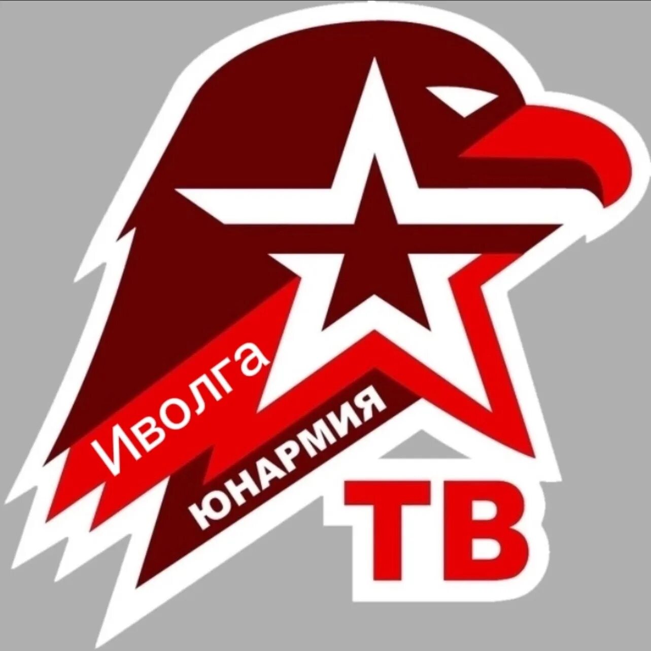 Программа юнармия. Юнкор юнармия. школа юных корреспондентов юнармии. юнармия тв. юнармия баннер.
