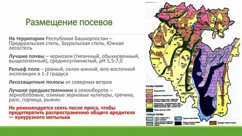 Почва башкортостана