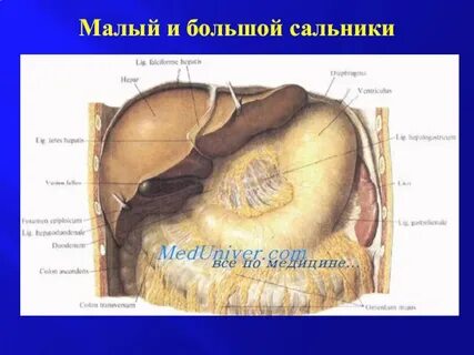 Без сальника