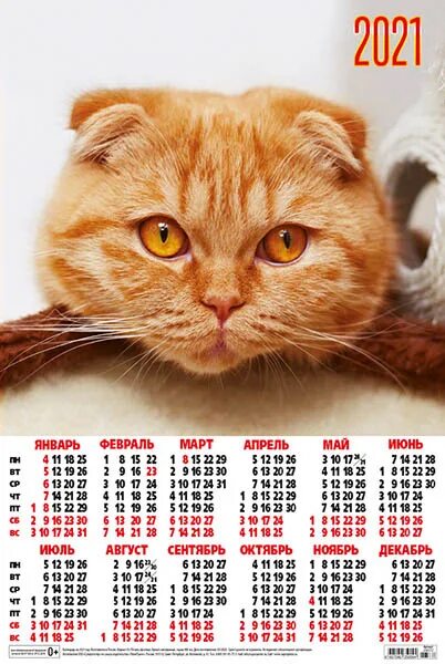 Кошка 2021. Календарь 2021 с кошками. Новогодний календарь с кошечкой. Календарь листовой с кошками. Календарь рыжий кот.