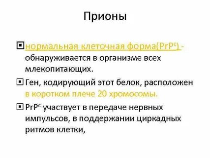 Прионы