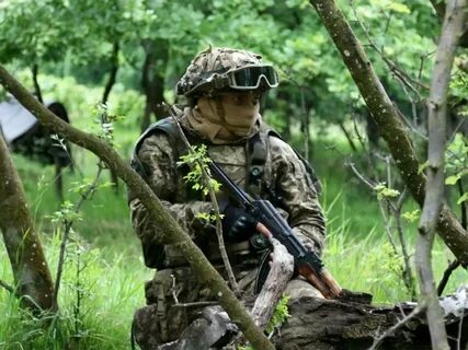 Партизаны украины последние новости