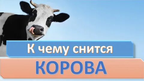 К чему снится теленок женщине