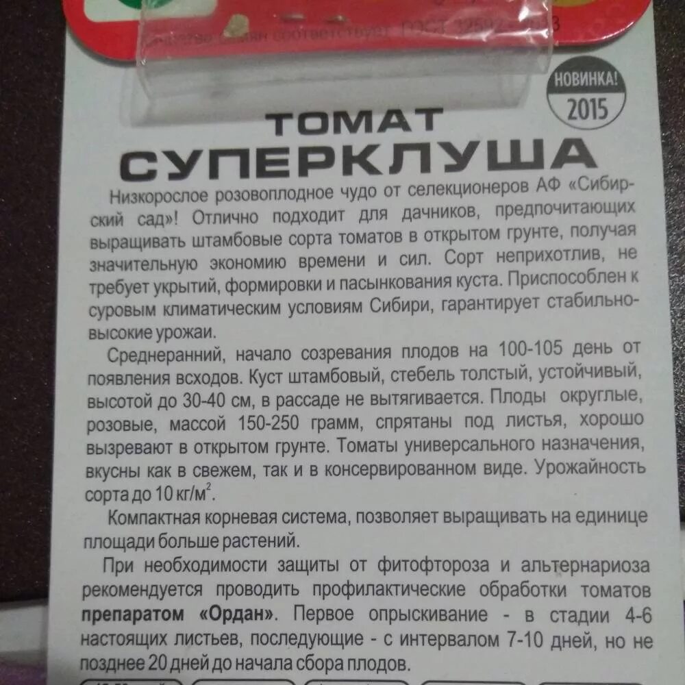 Томаты клуша отзывы фото. Клуша помидоры описание сорта. семена томат супер-клуша. супер клуша сорт томата. супер клуша помидоры описание сорта.