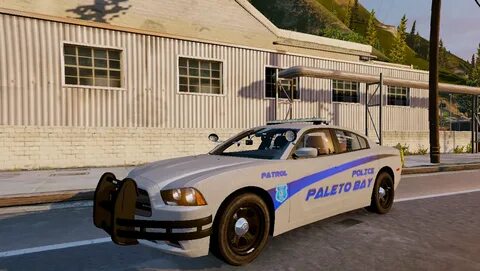 5 mods police