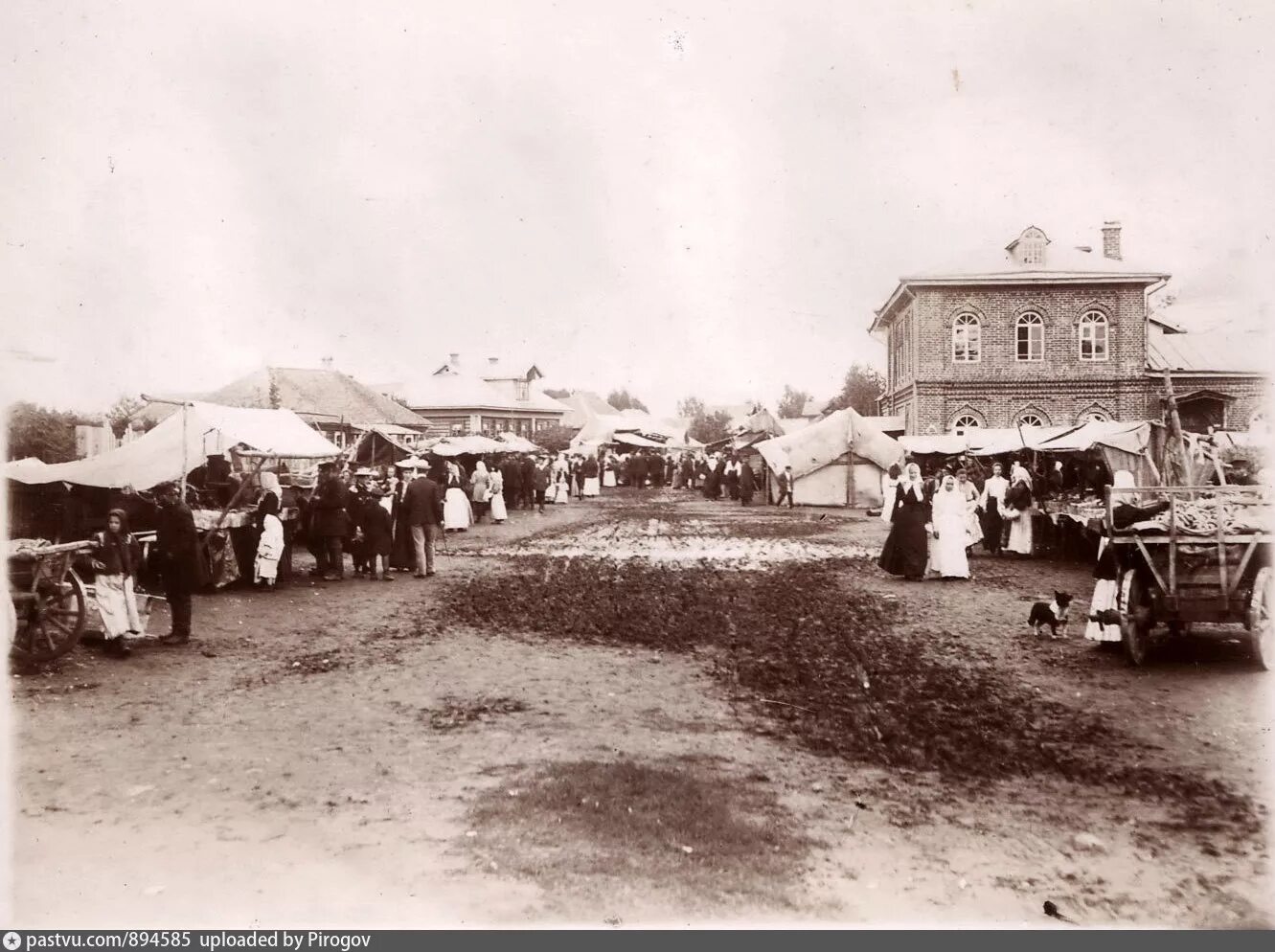 1937 заготзерно называевск. Симбирская губерния курмышский у-д с анастасово. Компания уезда. Компания уезда. Пахотные солдаты симбирской губернии.