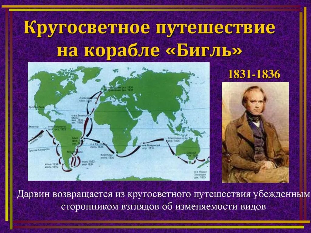 6 кругосветных путешествий. Путешествие Дарвина на корабле Бигль. Кругосветное путешествие Чарльза Дарвина.