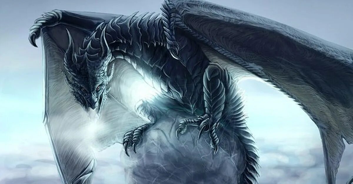 Дракон арт. Аркат дракон огня. Дракон западный. Зирнитра мифология. Вермитор дракон.