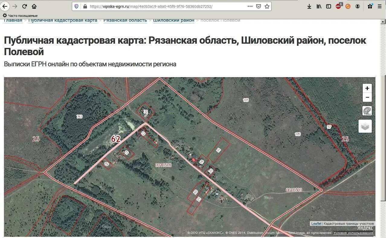 Кадастровая карта публичная 2023 года с границами. Карта Рязанской области кадастровая карта. Публичная кадастровая карта Рязанской обл.. Публичная кадастровая карта Рязанской области 2022. Кадастровая карта Рязанской.