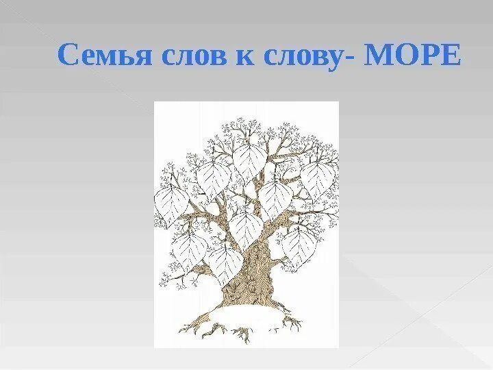 Семя слов дерево. Семья слов. Проект семья слов. Проект семья слов к слову море. Проект семья слов по русскому языку 3 класс.