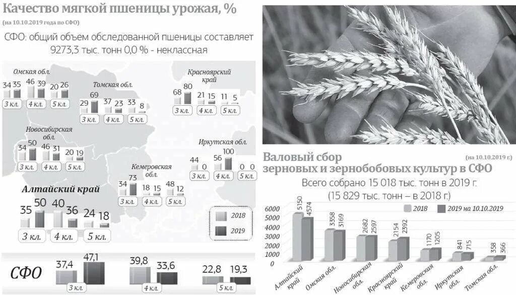 Урожай пшеницы 1994 в России. Урожайность зерновых в Алтайском крае за последние 30 лет таблица. Самая высокая урожайность пшеницы в Новосибирской. Какая урожайность пшеницы в Алтайском крае Новосибирской области.