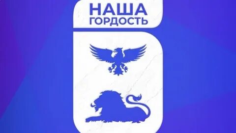 Наша гордость 31