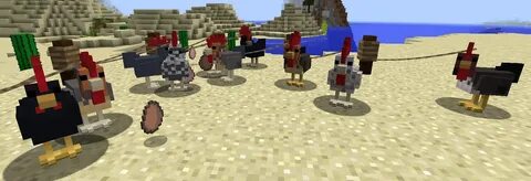Animals 1.12 2