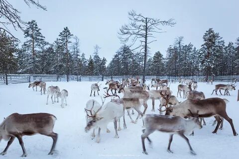 Погода в хантах