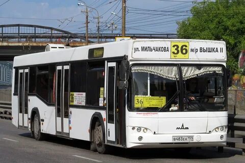 Асу 48