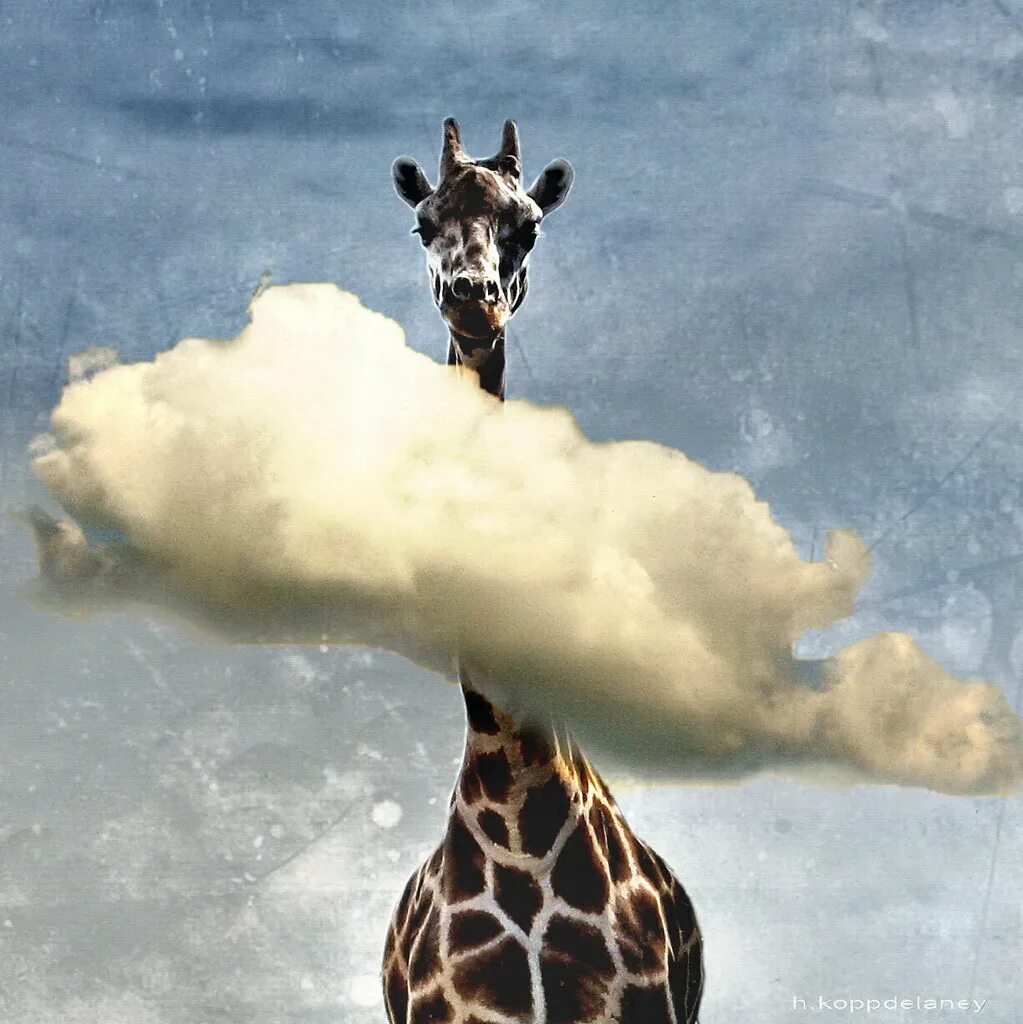 Метафора жираф. Жираф торникрофта. Анекдоты про жирафов. Картинки на рабочий стол креативные. Визуальная метафоризация.